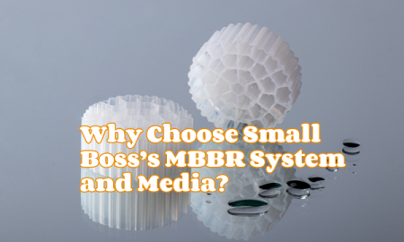 Why Choose Small Boss’s MBBR System and Media?